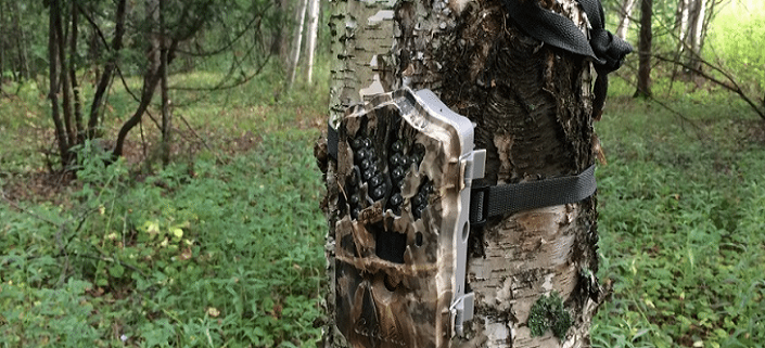 Best Hunting Trail Game Cameras on the Market