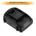 WORX20-20 (2)
